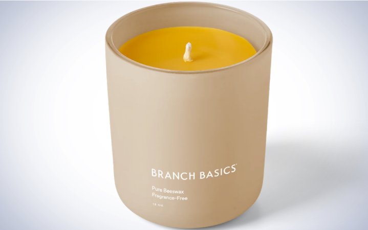  Branch Basics Beeswax Candle on a plain white background.