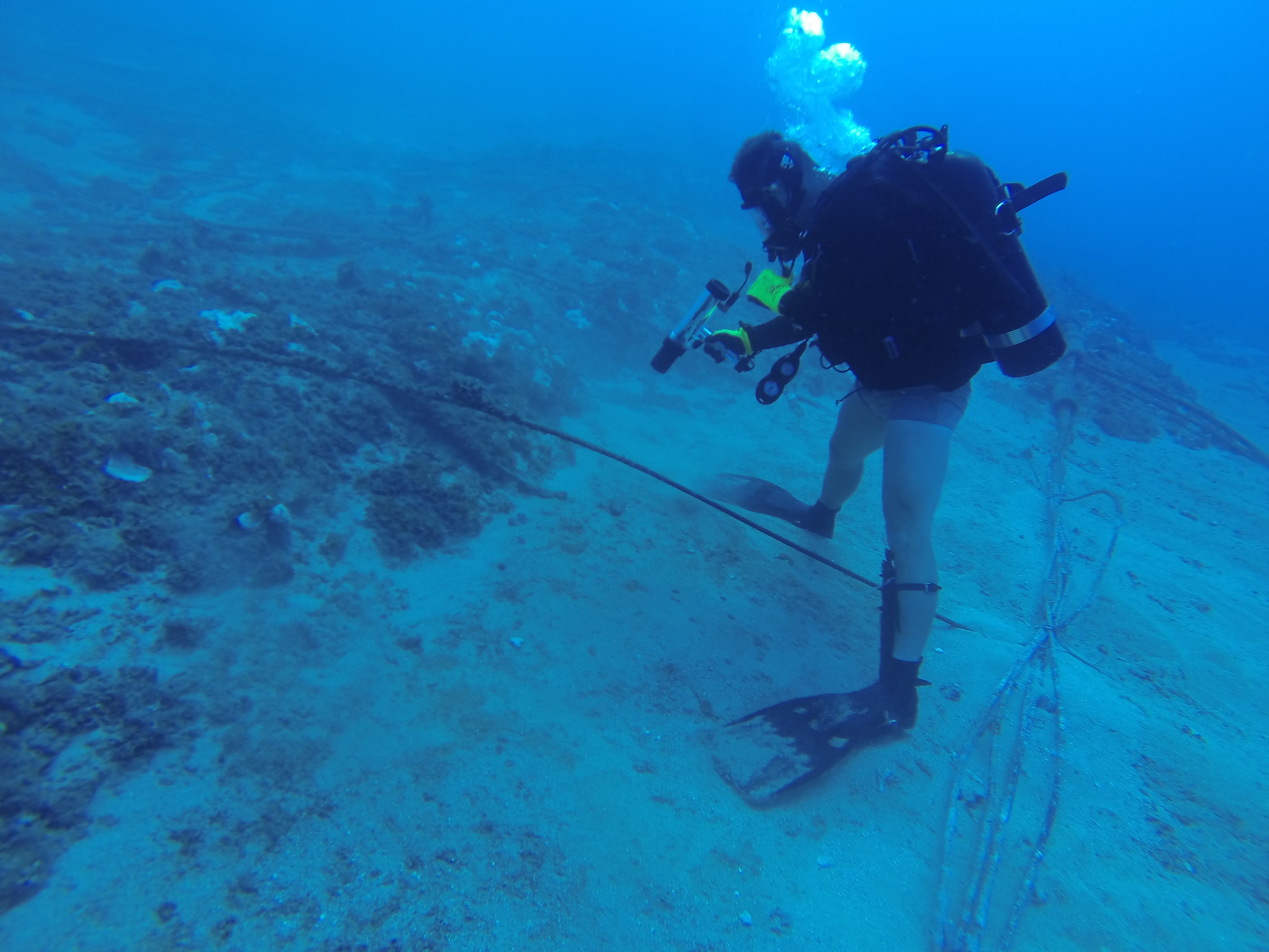 diver examines underwater cable in pacific