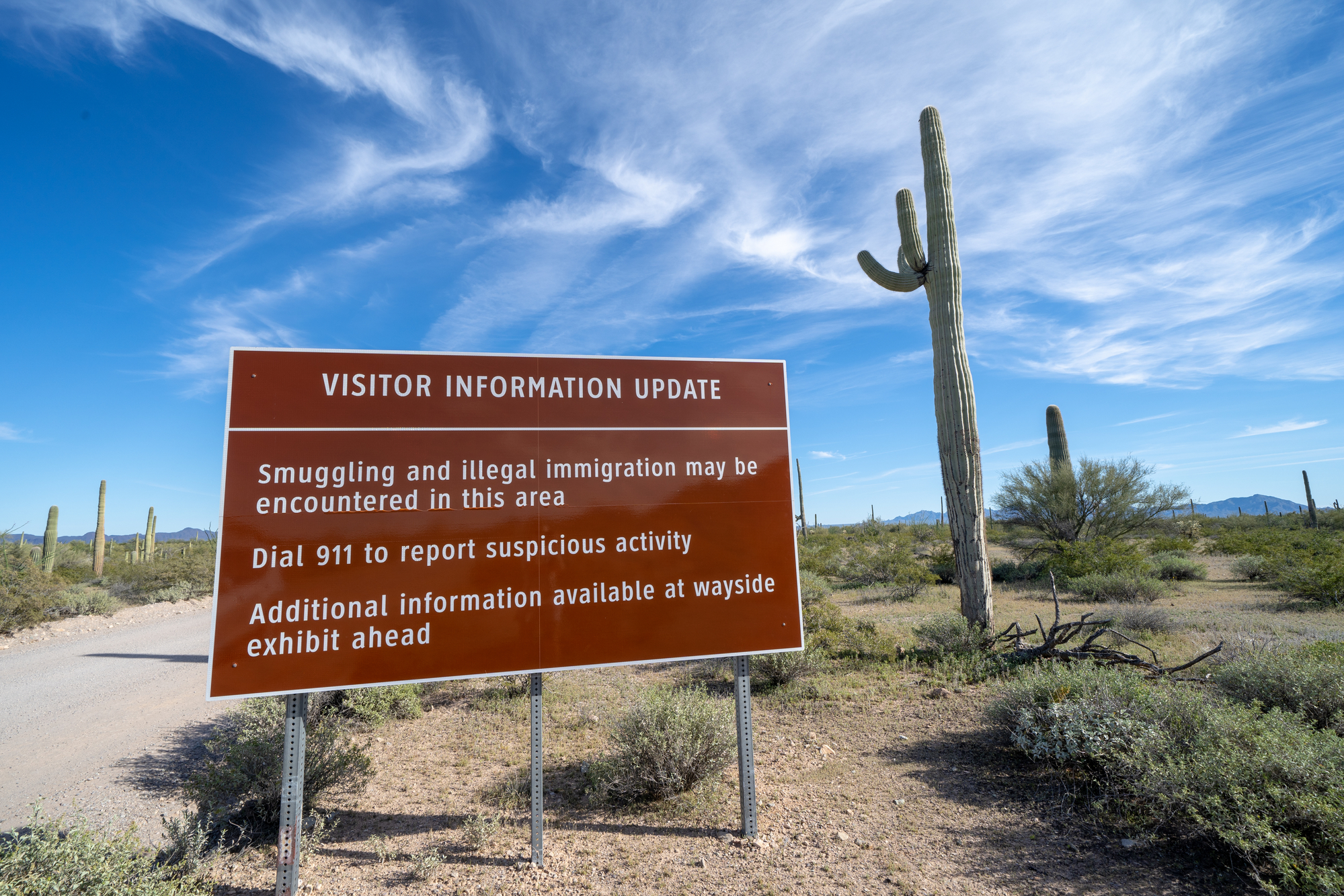 Border patrol sign warning visitors about illegal immigration at Organ Pipe National Monument in front of a cacti