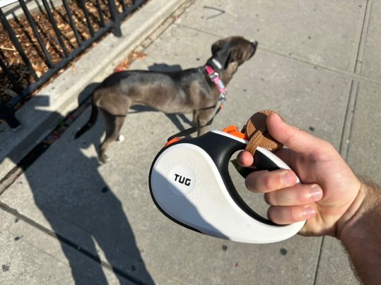 Lightweight retractable dog leash hotsell