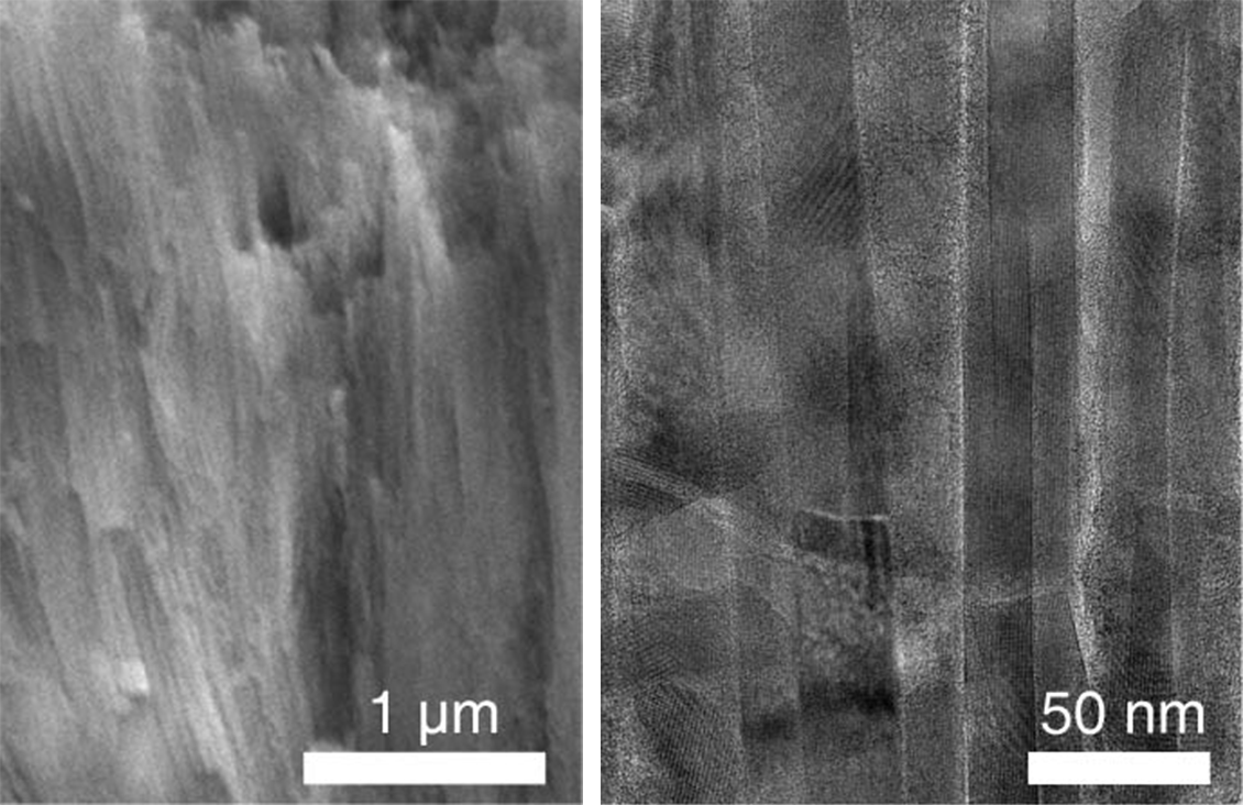 two microscope images side by side of tooth enamel structure, revealing long rods