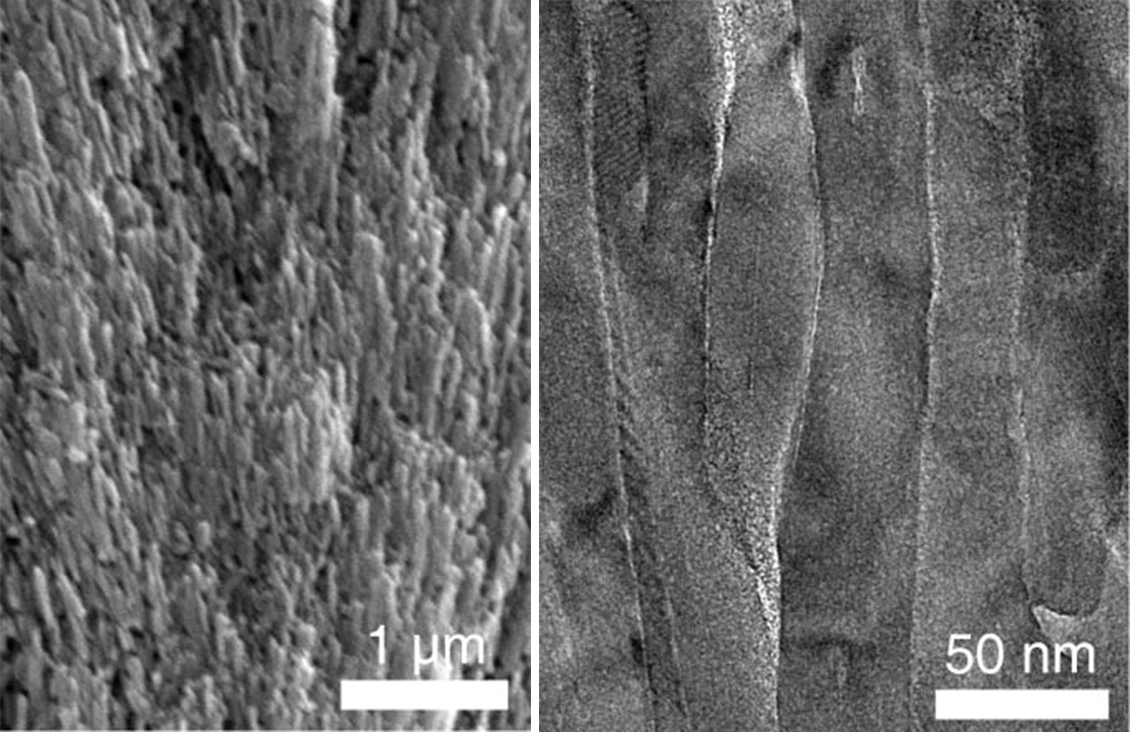 two microscope images side by side of real tooth enamel structure, revealing long rods