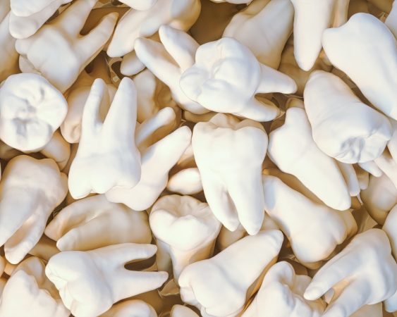 Pile of model white molar teeth