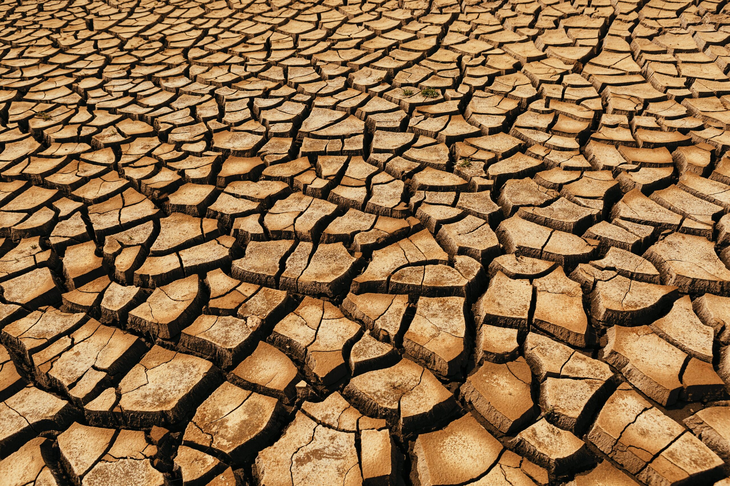 Megadrought in the US West is a 1,200-year record.