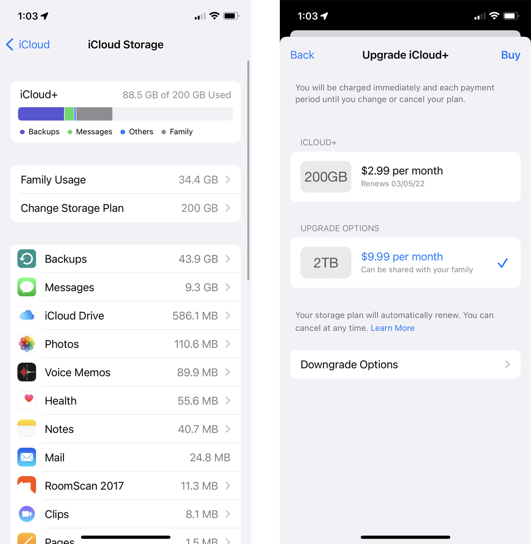 Screenshot how to backup your iPhone process