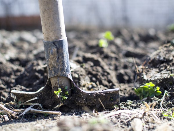 A shovel dug deep into some dirt in someone's lawn or garden.