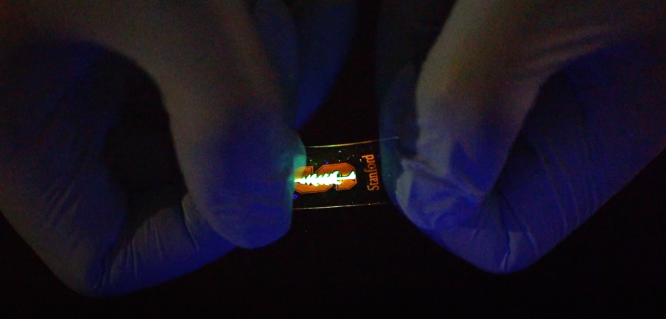 stretchy LED screen by stanford engineers