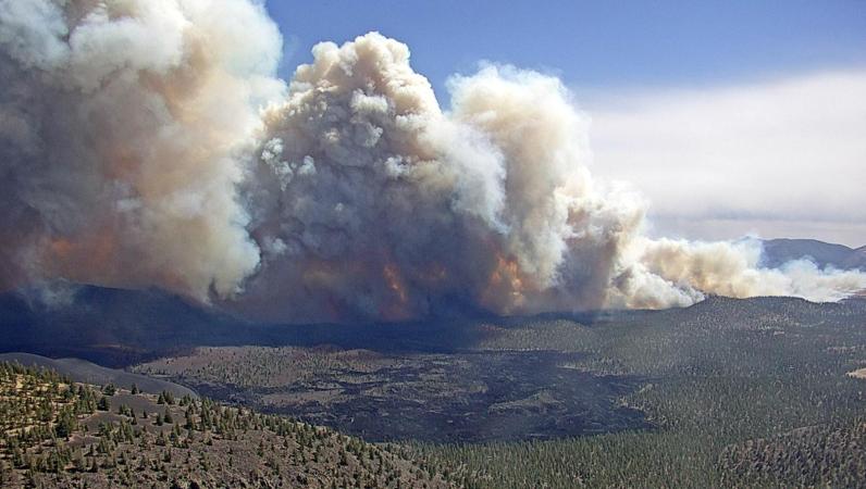 A plume of smoke viewed from above, in a valley of small pine trees.