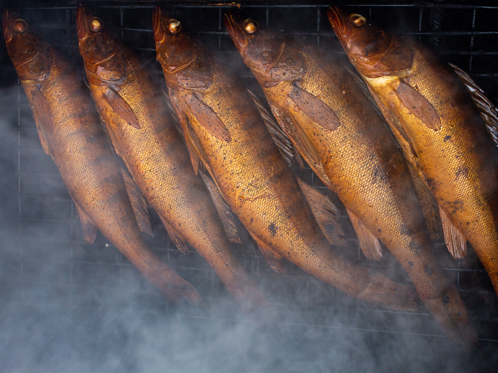 A photo of perch on a fish smoker being smoked.