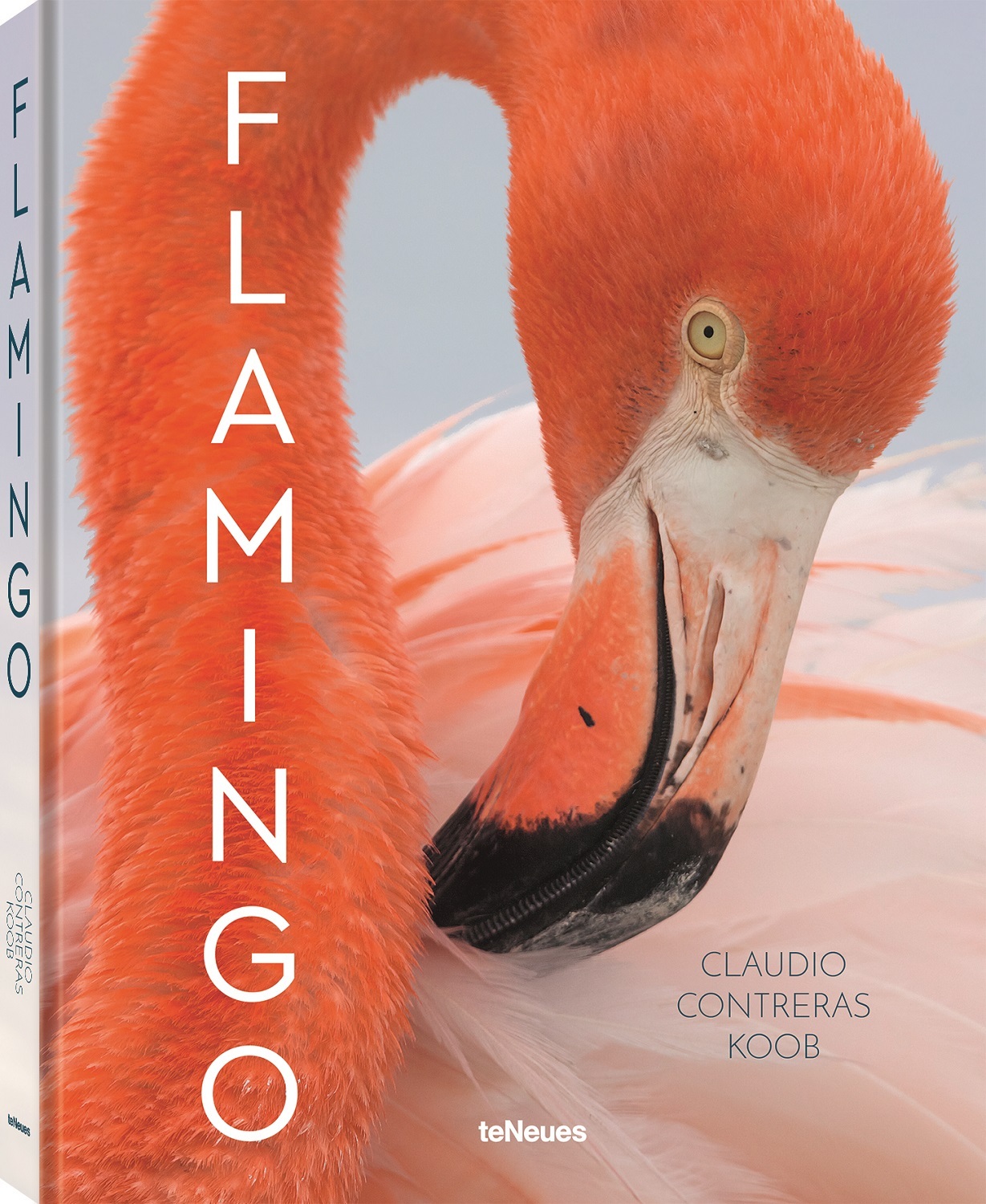 Flamingo: a new photo book by Claudio Contreras Koob | Popular Science