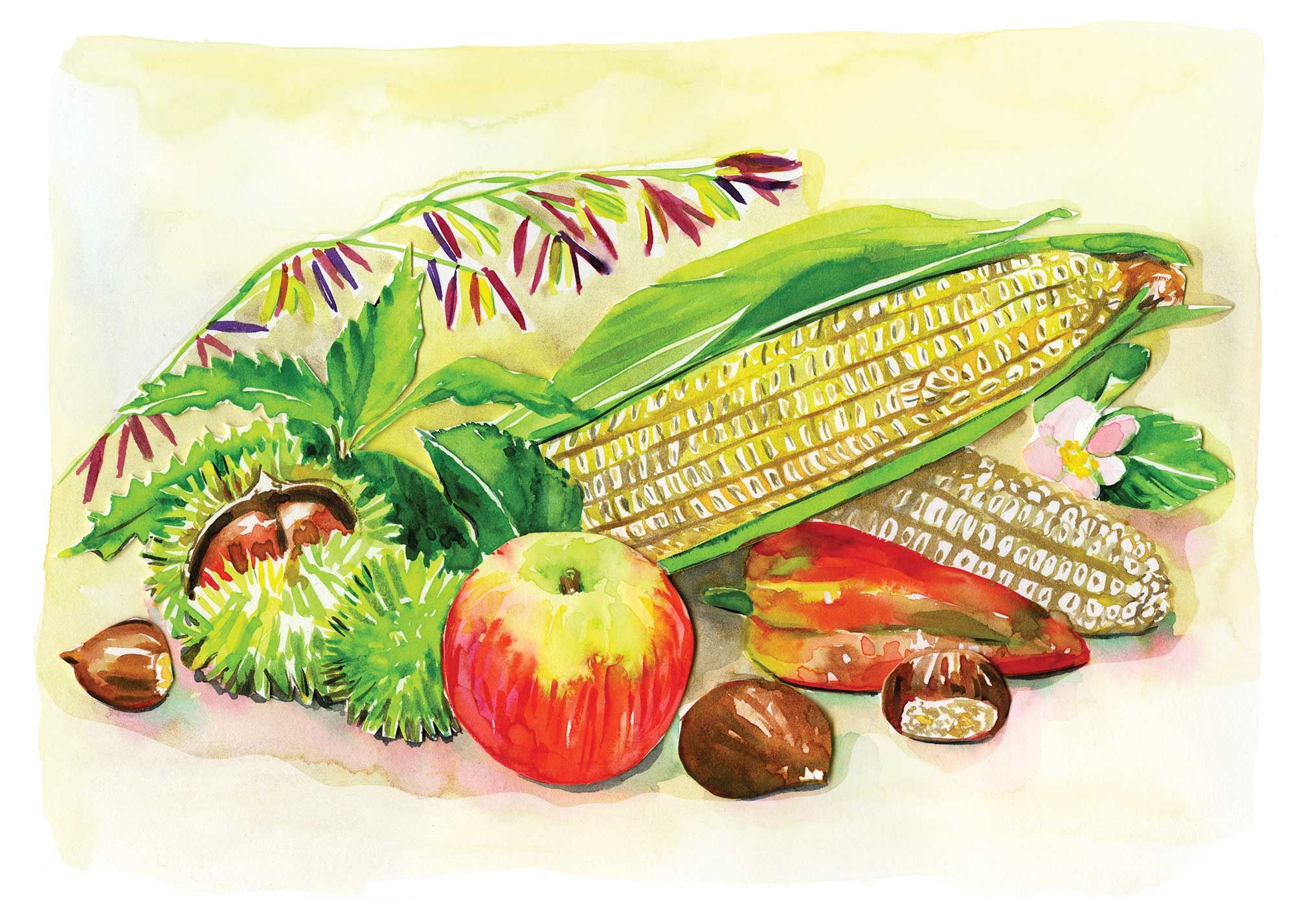 An illustration of obscure crops