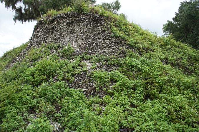 A hill made of oyster shell