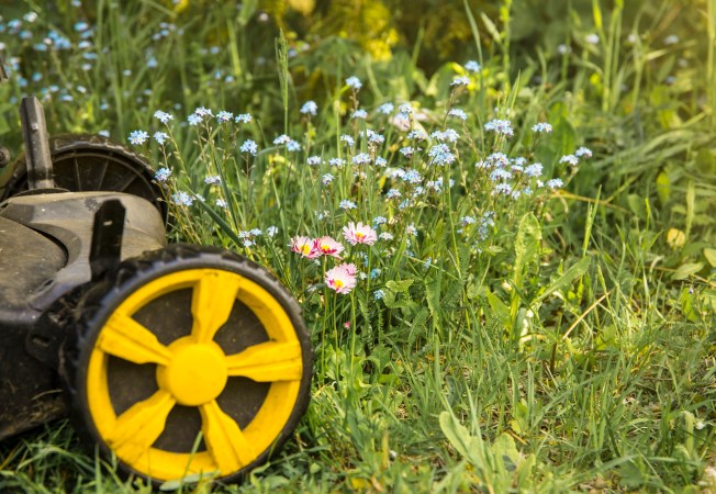 Yellow lawn mower next to lawn with tall grasses and pink and blue native wildflowers