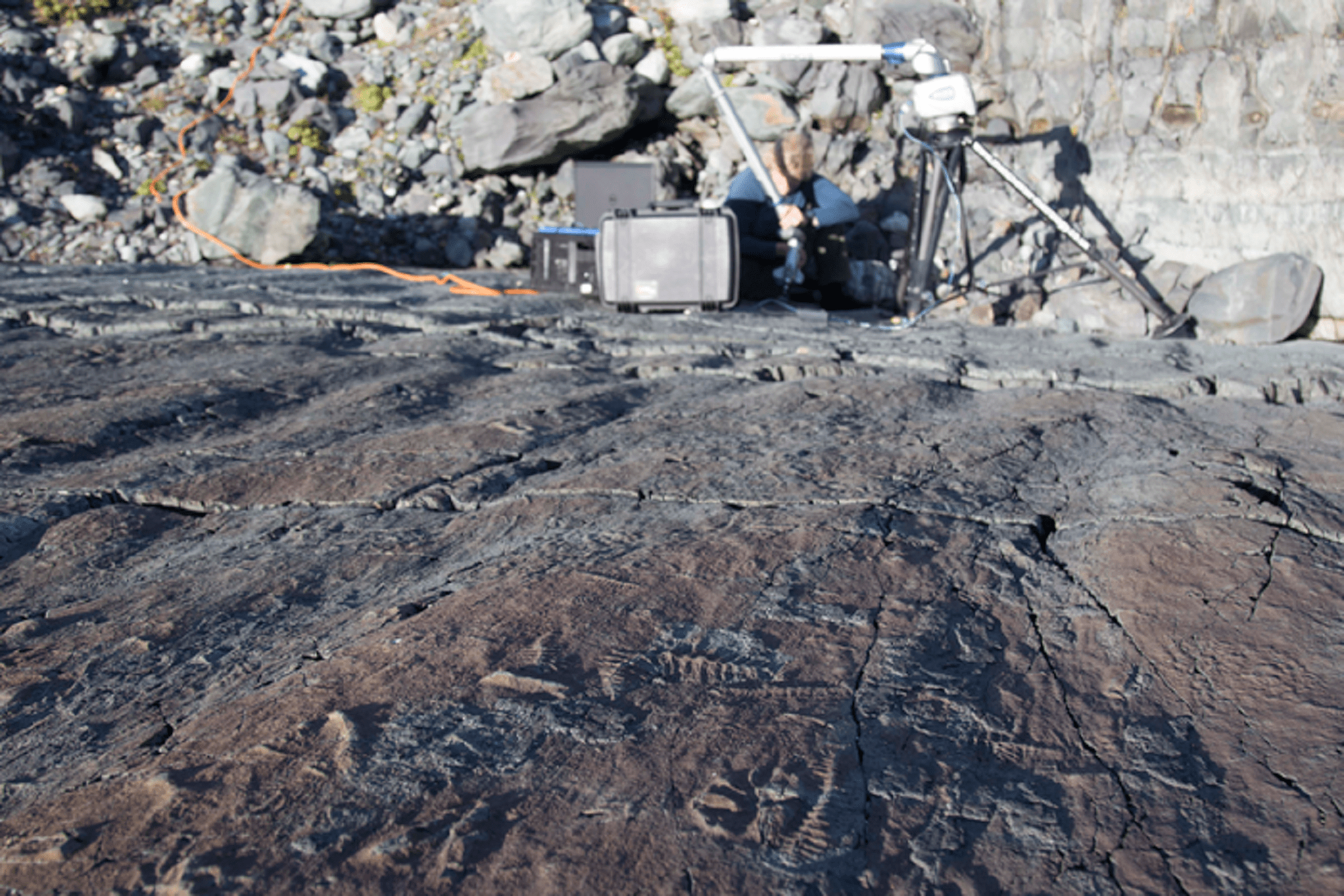 Paleontologist with a laser scanner over plant imprints and other fossils in a seabed in British Columbia, Canada