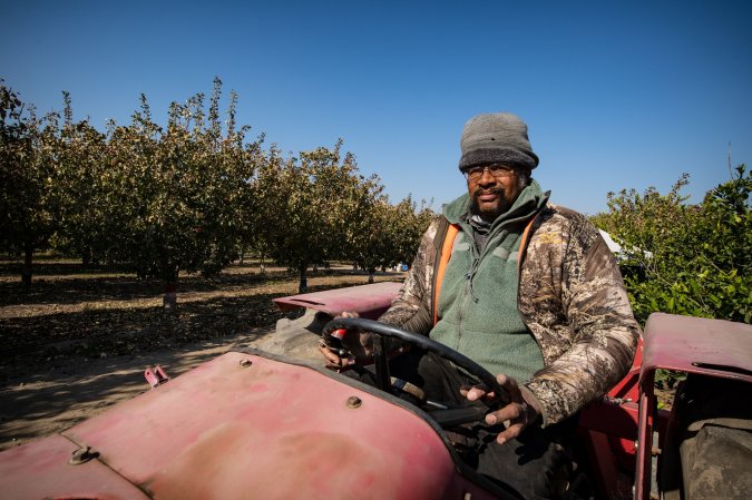 Black farmer on a no-till tractor with pistachio trees in the background