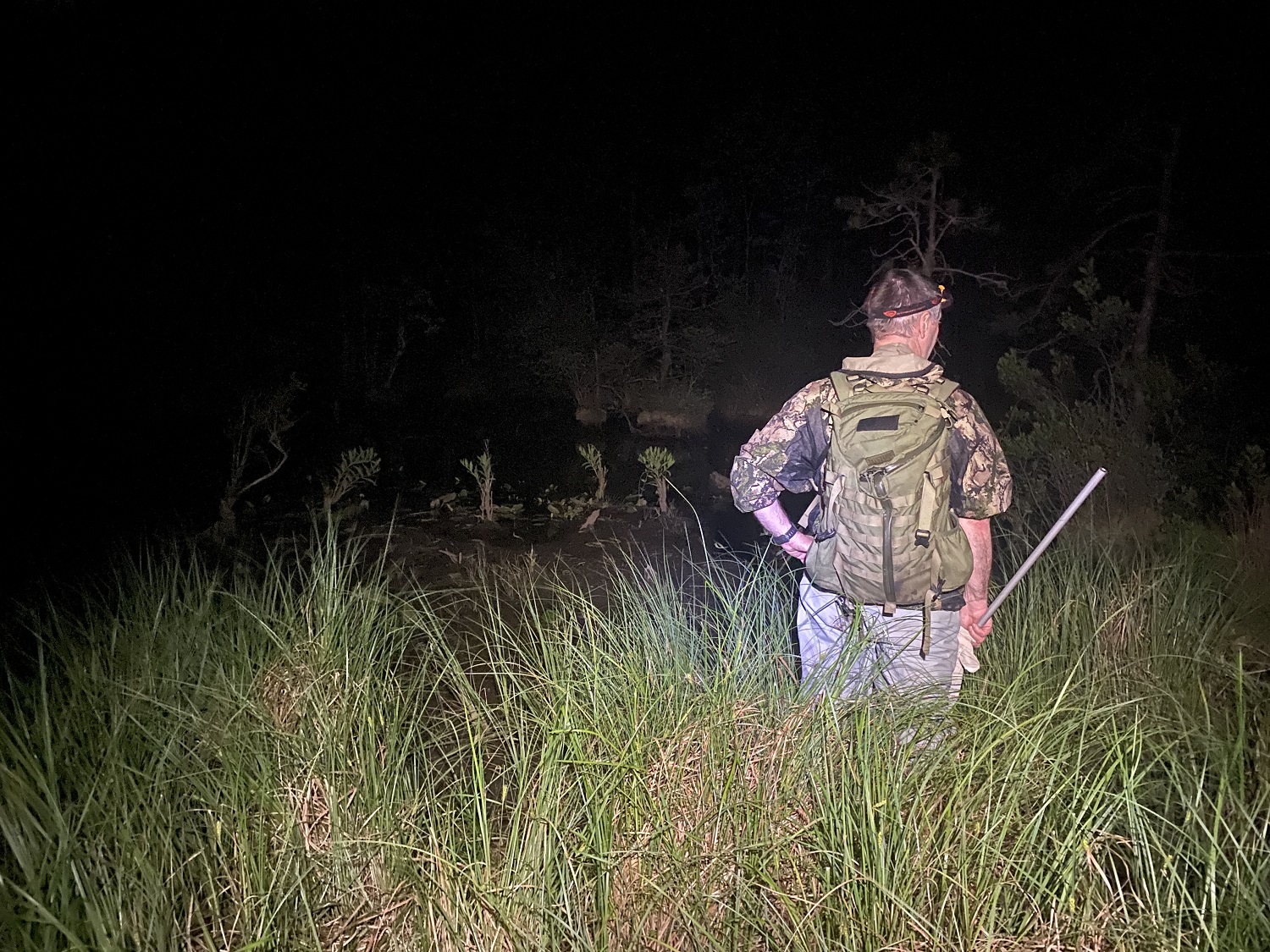 Ecologist in camo with an insect net standing at the edge of a grassy bog at night