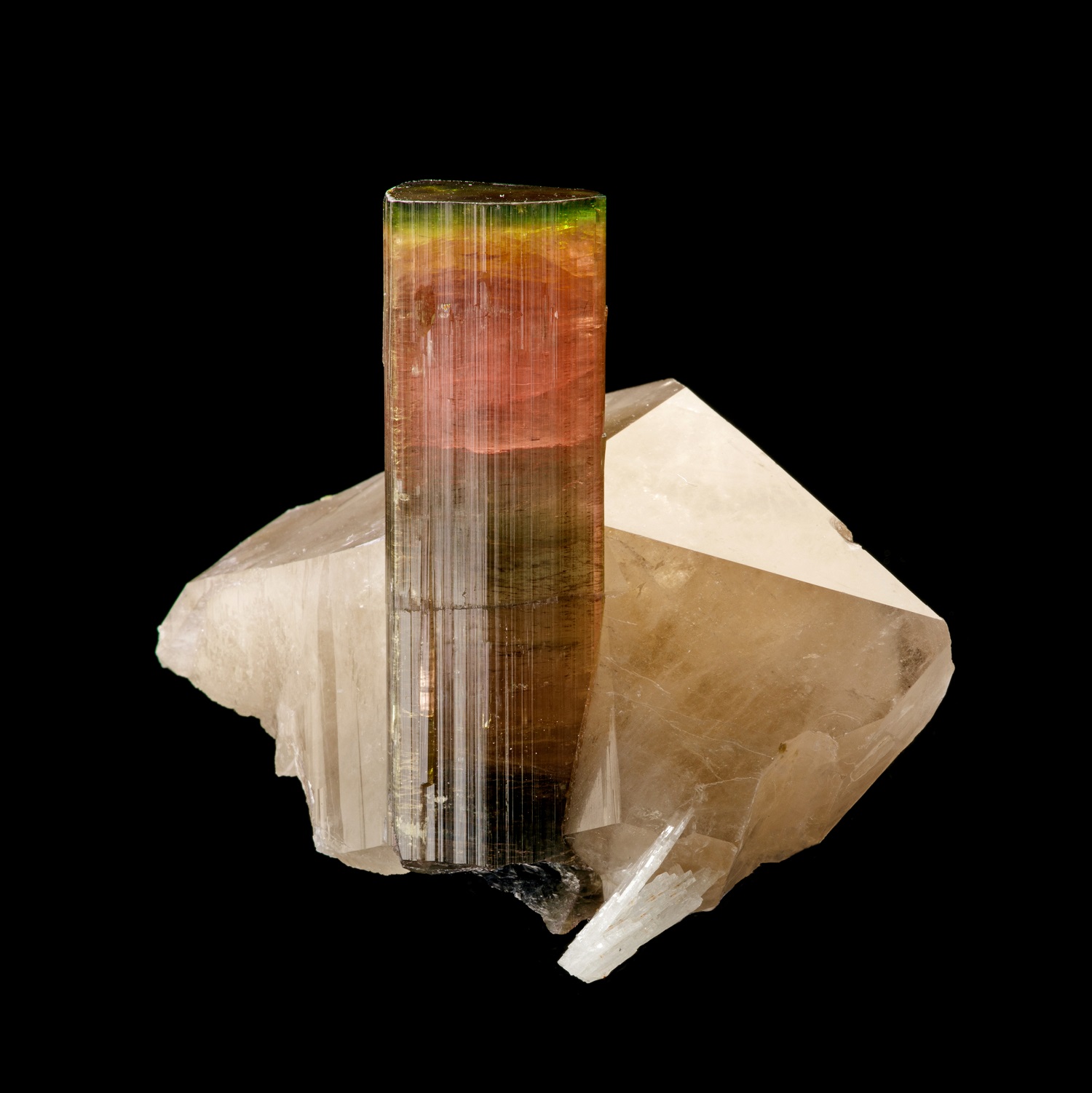 Orange tourmaline in a white rock base on a black background in a mineral catalog