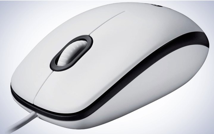  Logitech M100