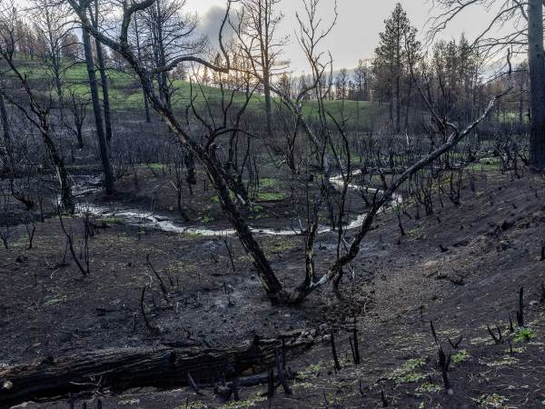 Wildfires Have Burned More Than 2.6 Million Acres So Far This Year