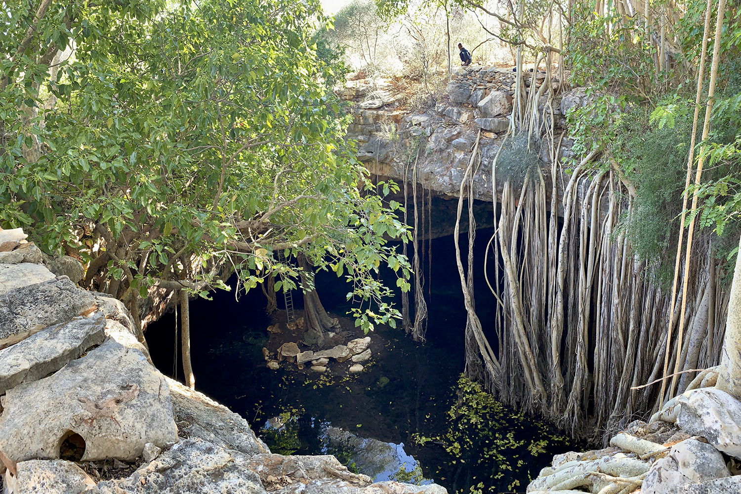 Person looks down into Vintany cave entrance