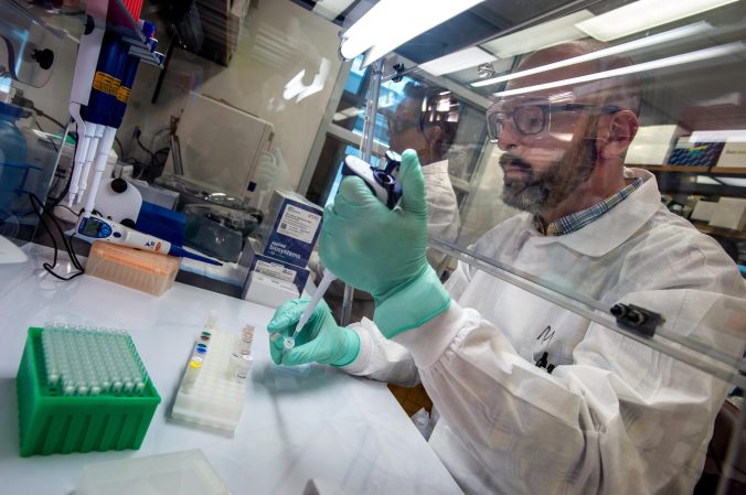 A CDC worker is examining these samples for polio.