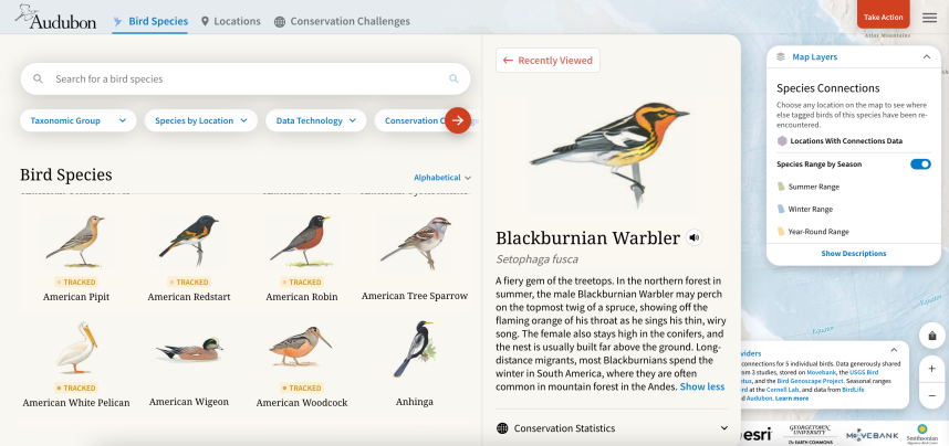 See how migrating birds connect the world | Popular Science