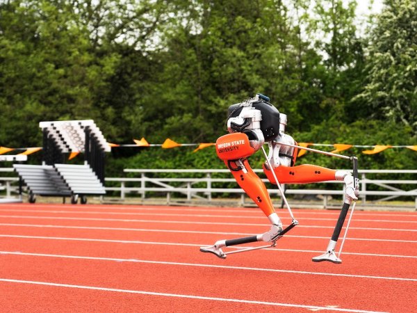 Cassie bipedal robot running on relay track