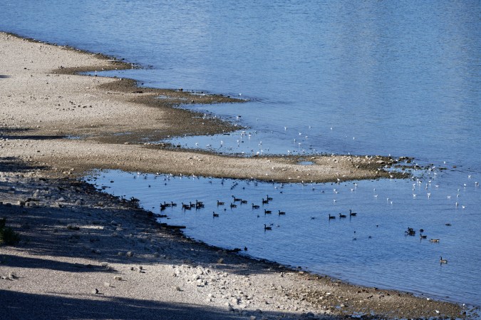 falling water levels on the rhine near cologne august 2022