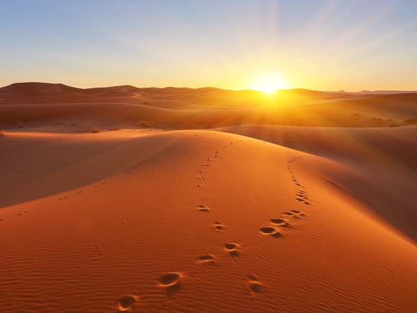 Multiple sets of footprints on desert sand dunes as sun sets on horizon