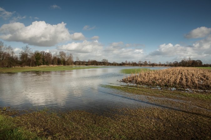 A flooded field