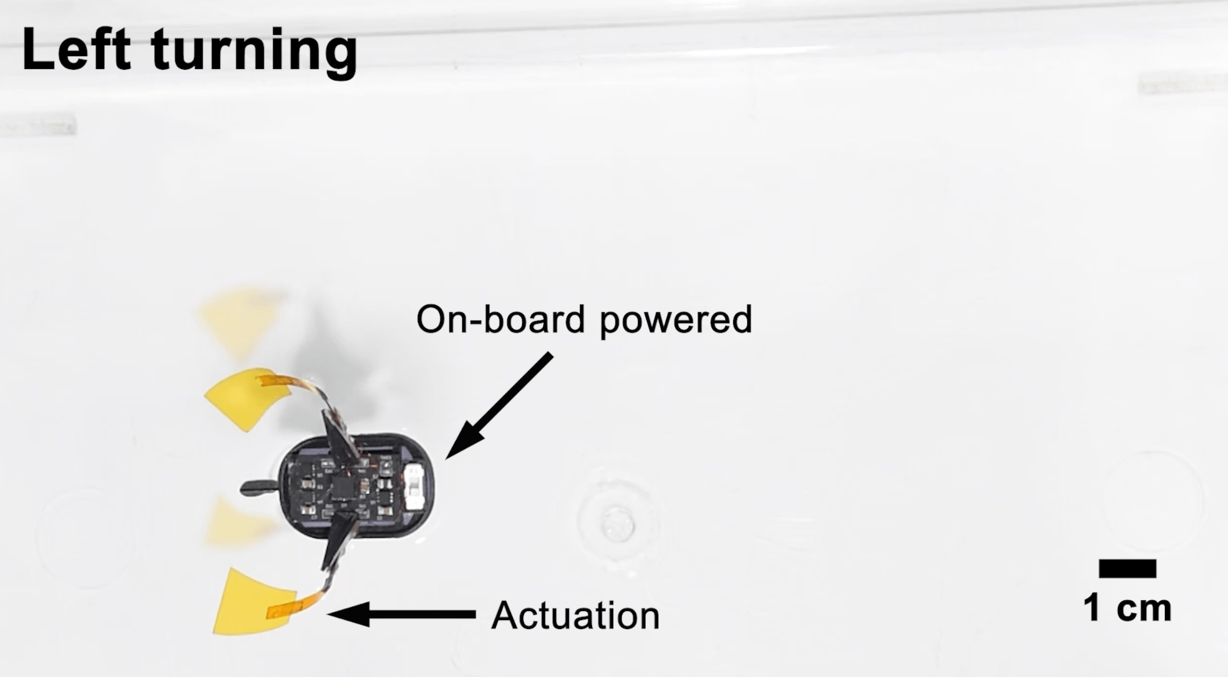 hydrogel swimming robot