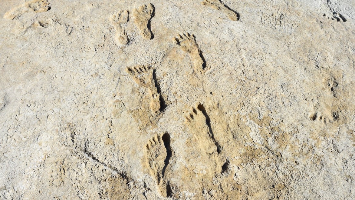 Debate into the age of White Sands footprints heats up | Popular Science