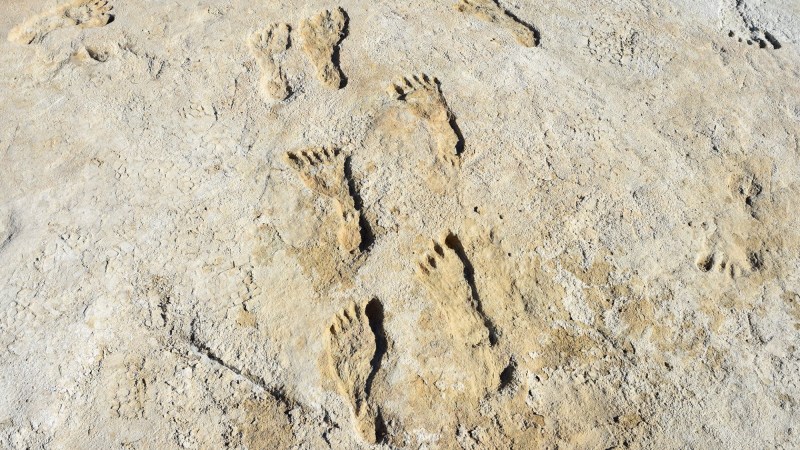 Scientists still are figuring out how to age the ancient footprints in White Sands National Park