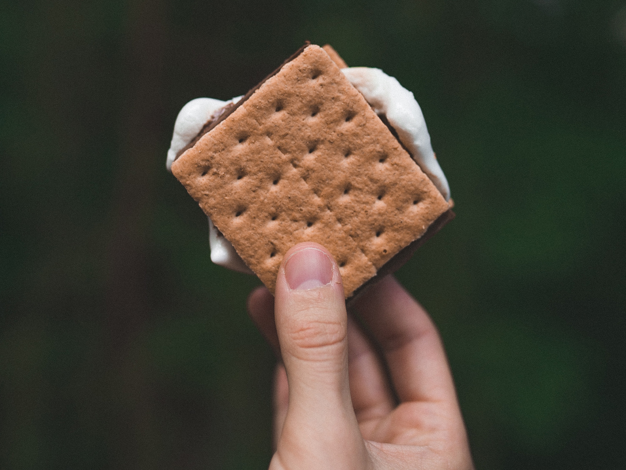 hand holding a smore in the woods