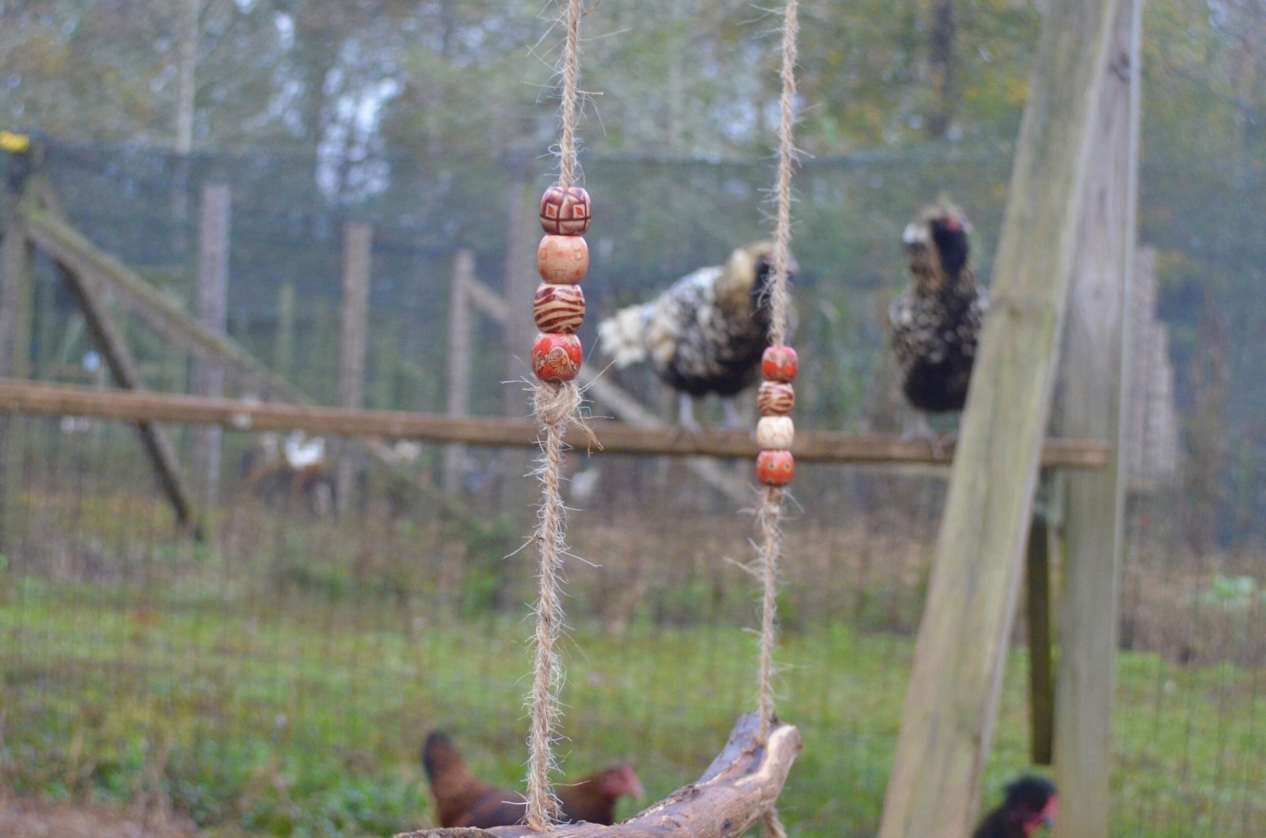 Eight colored beads (four on each string) on a DIY chicken swing.