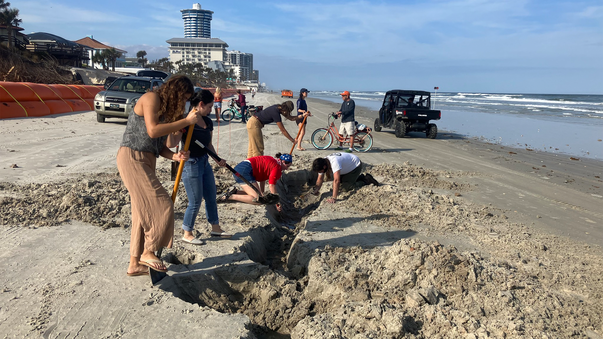 A team from the St. Augustine Lighthouse & Maritime Museum examines a shipwreck unearthed by hurricanes in Florida.