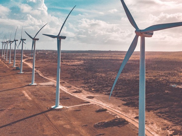 A line of electric windmills in a dry forest