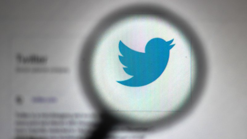 Twitter logo seen through magnifying glass on desktop screen