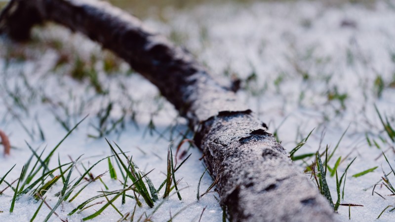 Persisting winter storm conditions bring snow, tornadoes, and thunder to Eastern US