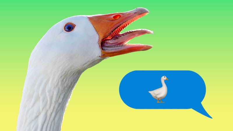 Goose emoji