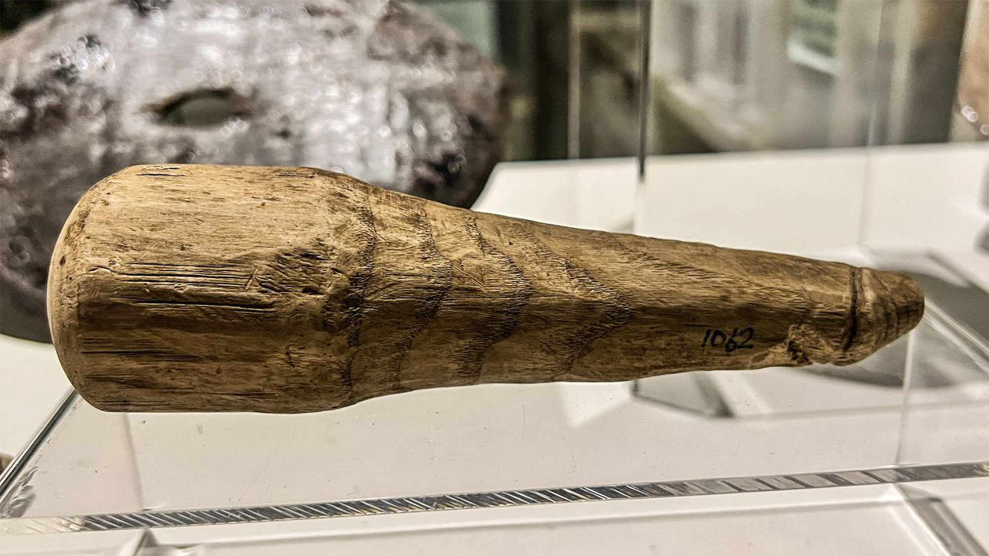 Scientists think they discovered a 2,000-year-old dildo | Popular Science