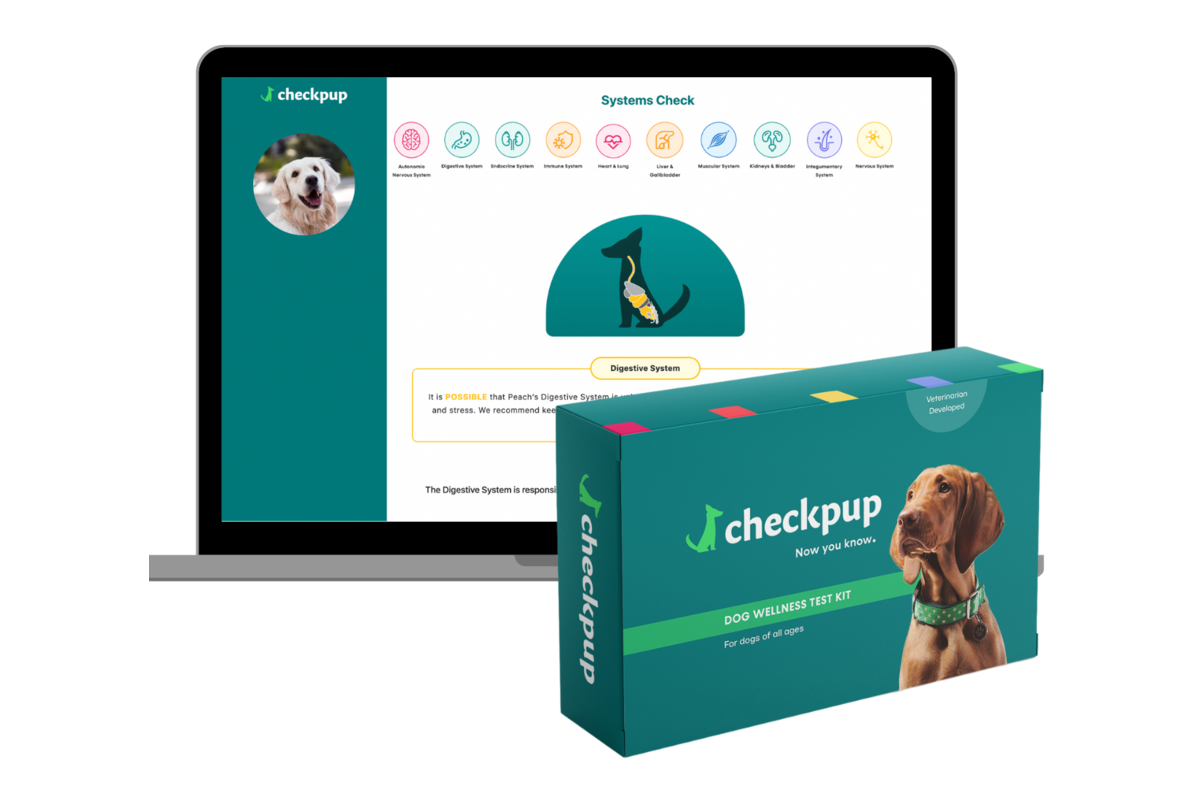 A laptop with the Checkpup dog health testing up.