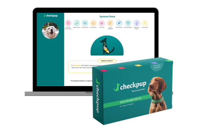A laptop with the Checkpup dog health testing up.