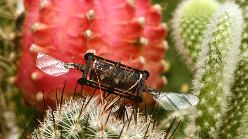A robot gardener outperformed human horticulturalists in one vital area