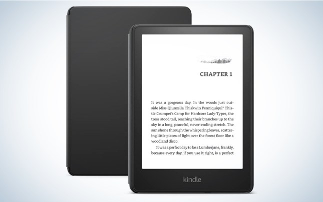 The best Kindles