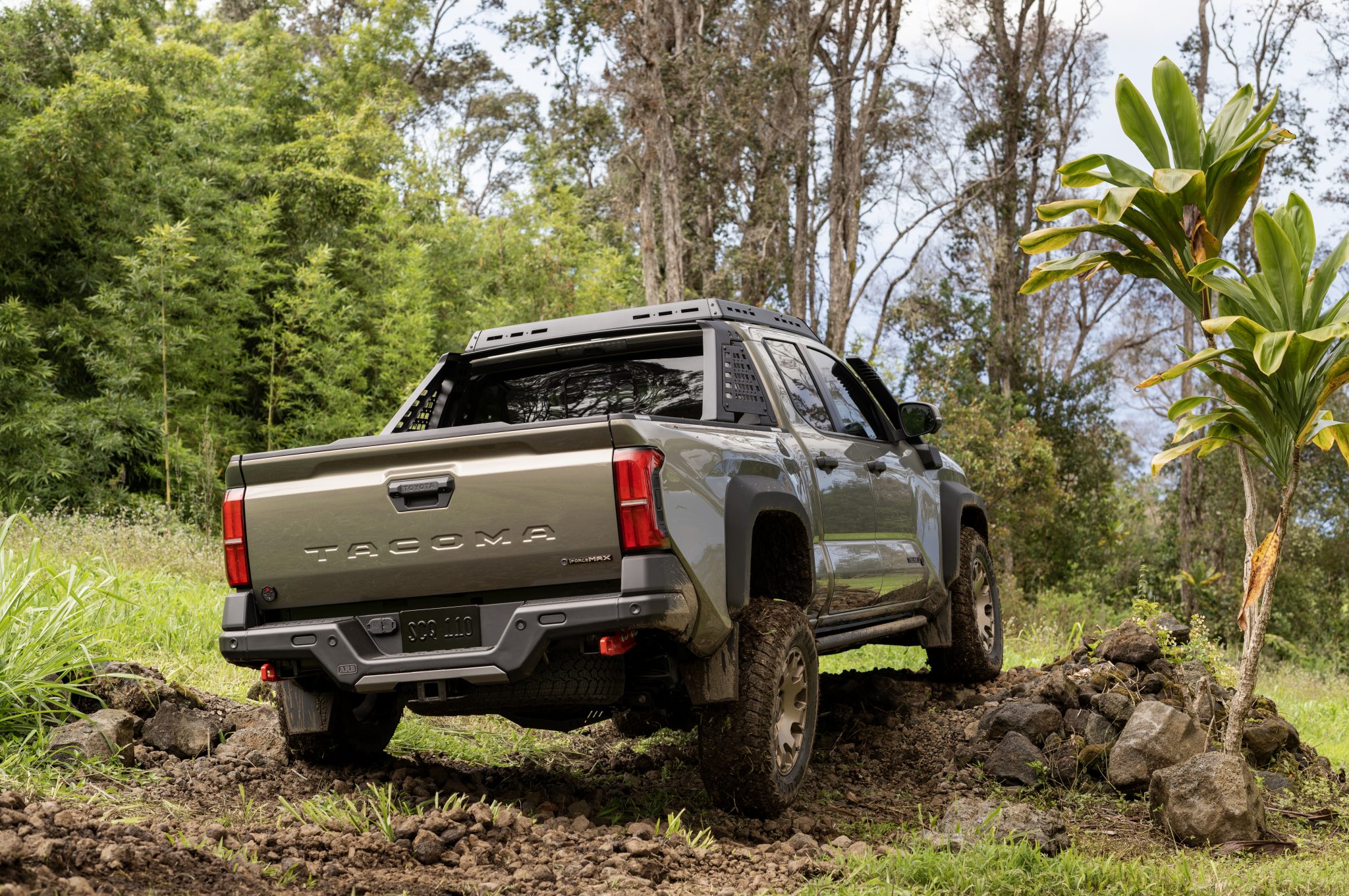 The 2024 Toyota Tacoma