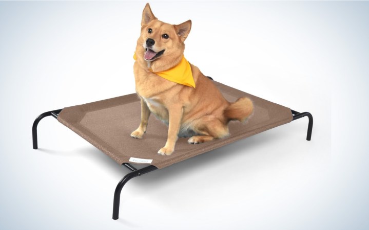 Coolaroo The Original Cooling Elevated Dog Bed