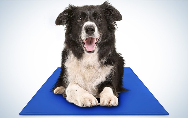 Chillz Dog Cooling Mat