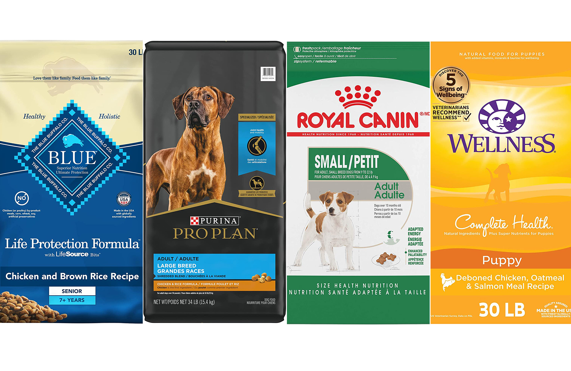 Best dog food on budget best sale