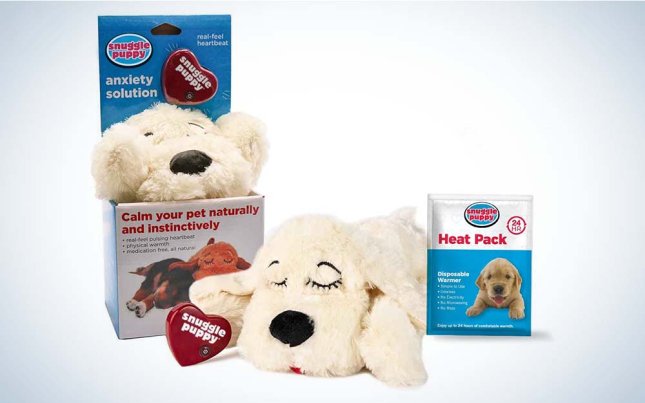 SmartPetLove makes some of the best interactive dog toys for anxiety.